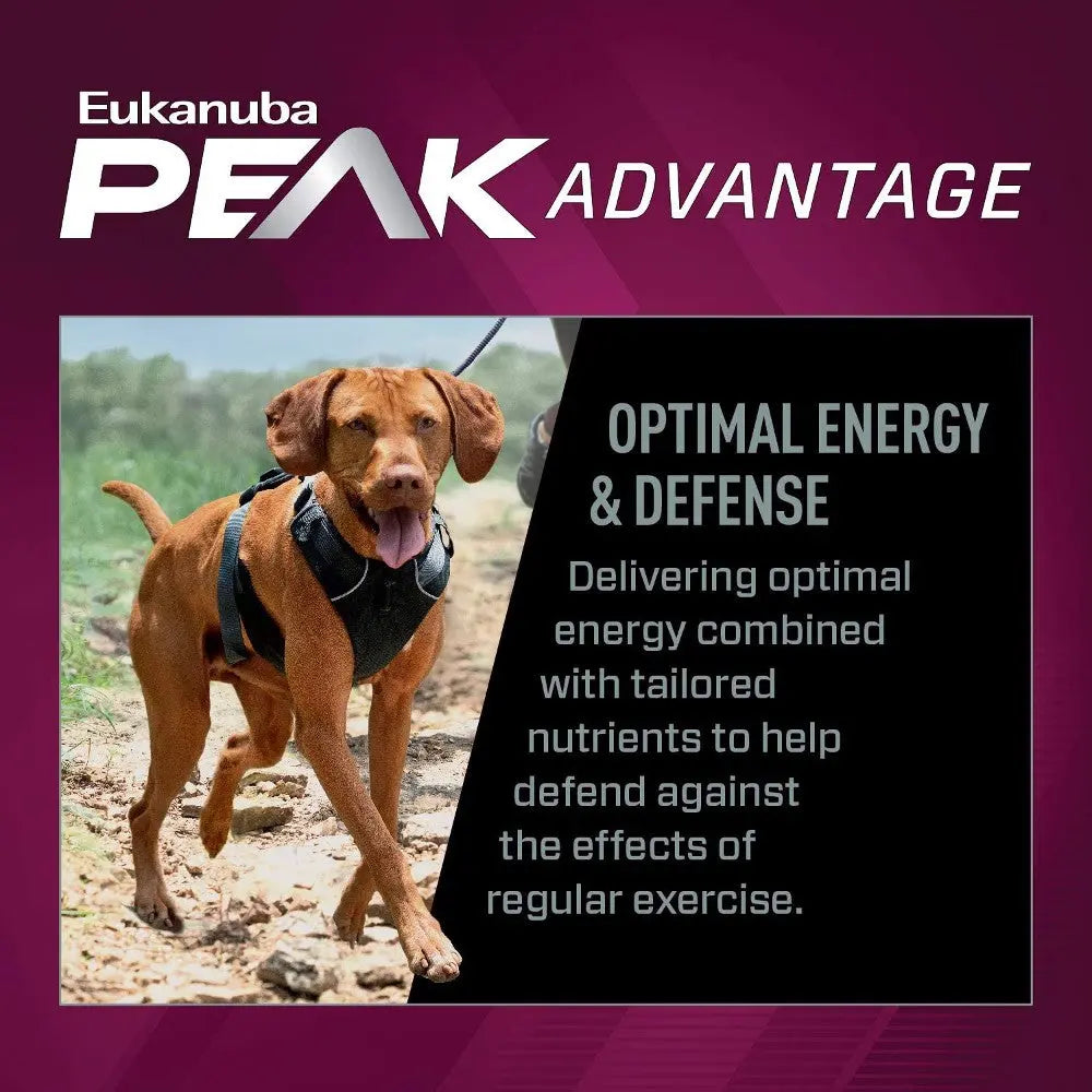 Eukanuba Peak Advantage promotes optimal energy and defense for active dogs with tailored nutrients.