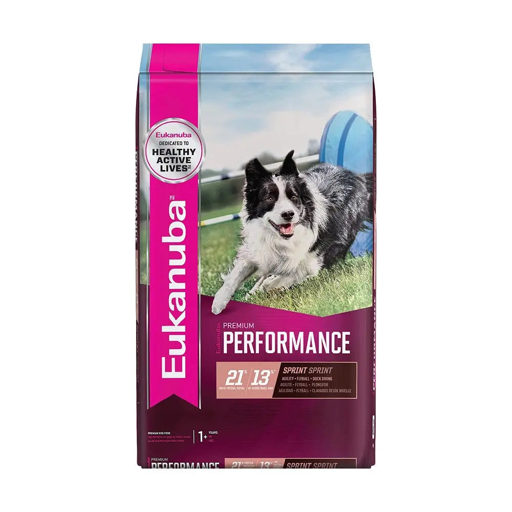 Eukanuba Performance dog food bag designed for active dogs, featuring a sprinting border collie on the label.