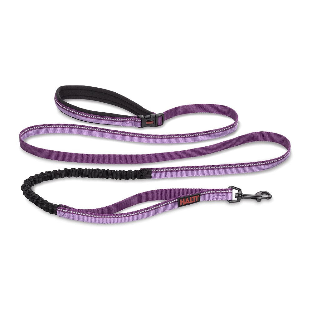 Company of Animals Halti Active Lead - product detail image South African pet owners
