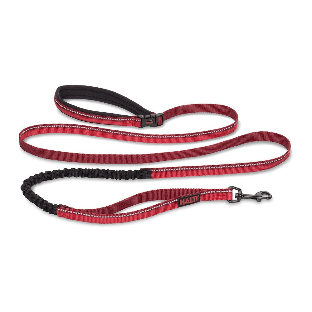 Company of Animals Halti Active Lead - product detail image South Africa delivery