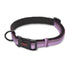 (Limited) Company of Animals Halti Comfort Padded Collar