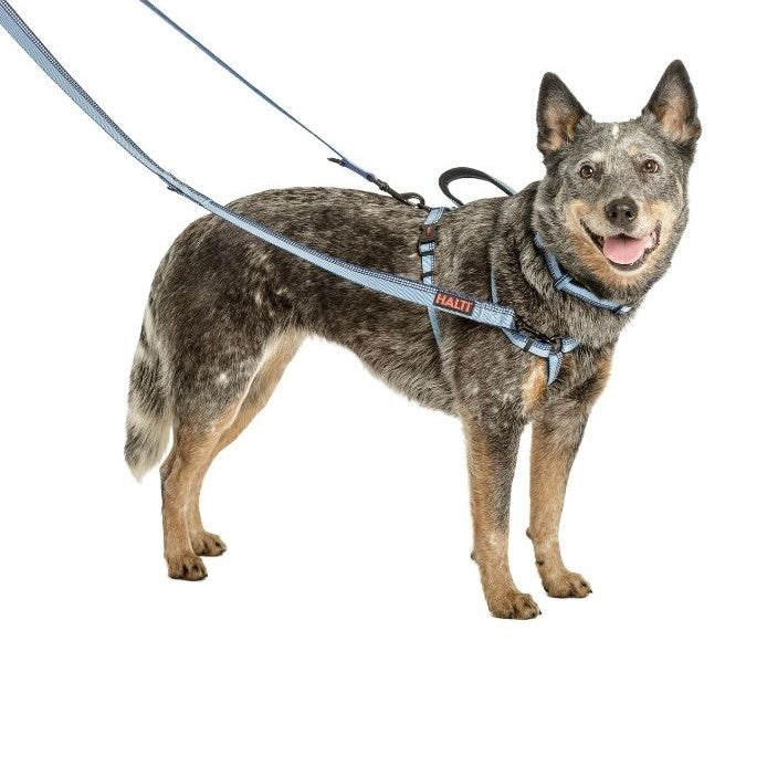 (Limited) Company of Animals Halti Double Ended Lead