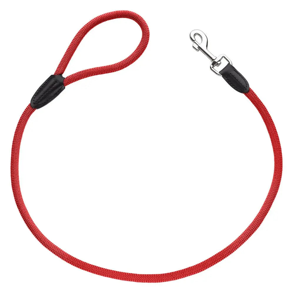 Red dog leash with a sturdy clip and comfortable handle for secure walks.