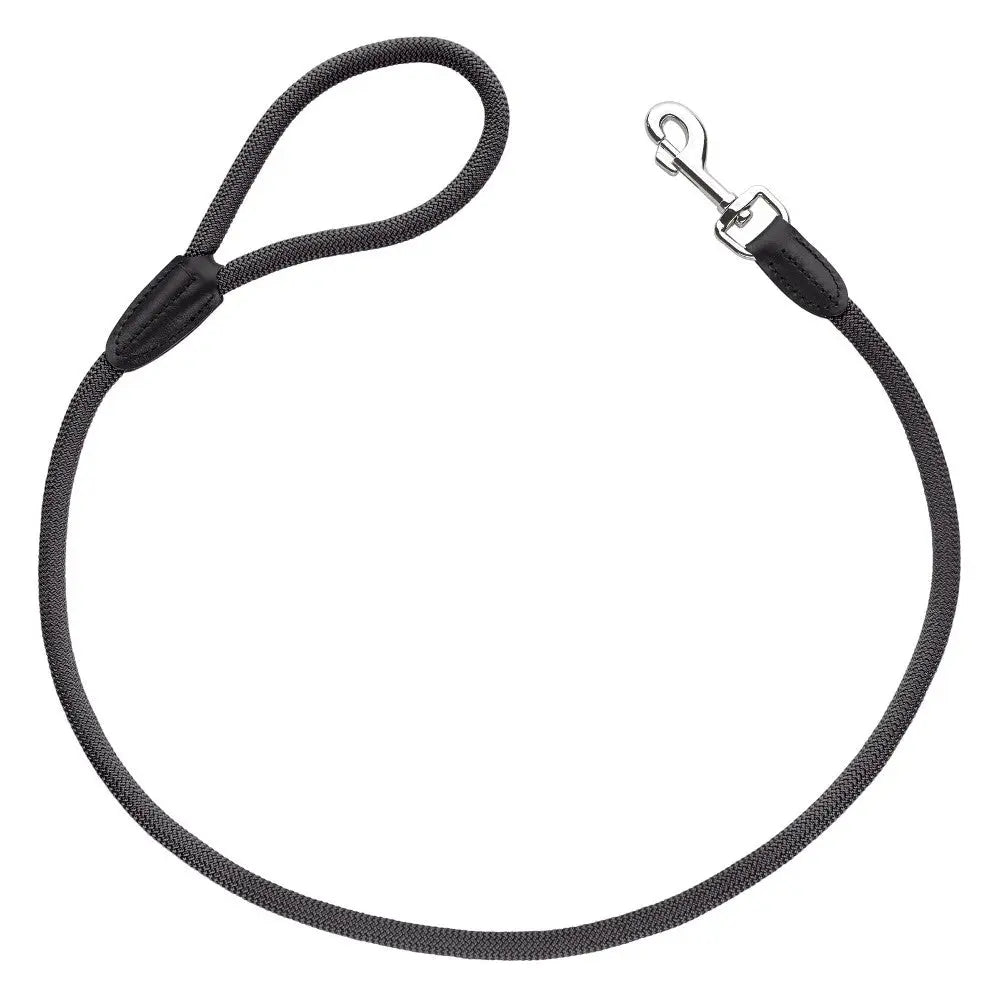 Durable black dog leash with a comfortable grip and secure clip for safe walks.