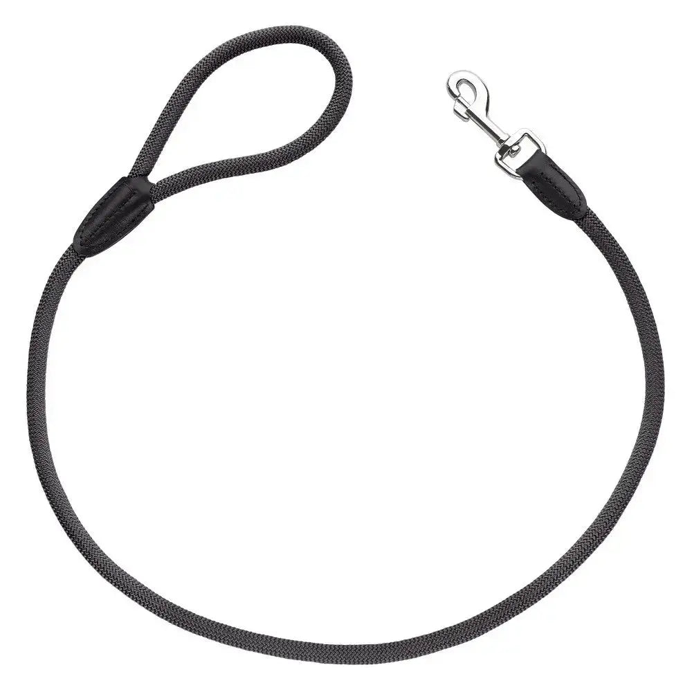 Durable black dog leash with a comfortable grip and secure clip for safe walks.