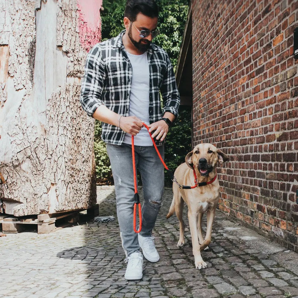 Man walking a dog on a leash in a scenic outdoor setting with brick walls.