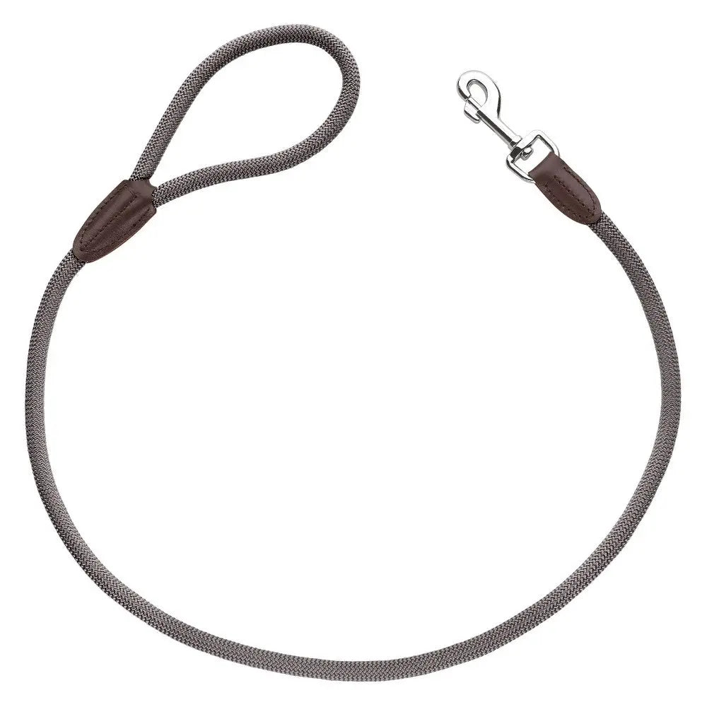 Durable dog leash with a comfortable grip and sturdy clip for secure walks.