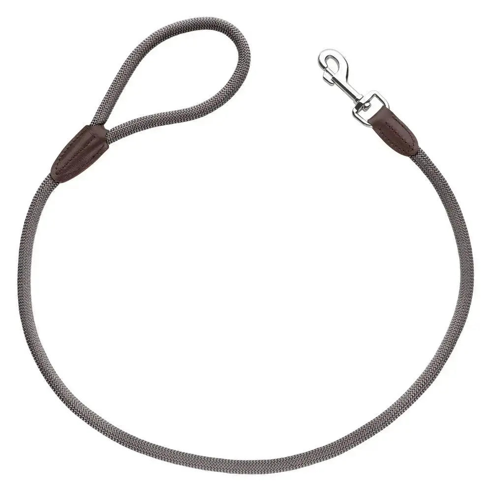 Durable dog leash with a comfortable grip and sturdy clip for secure walks.