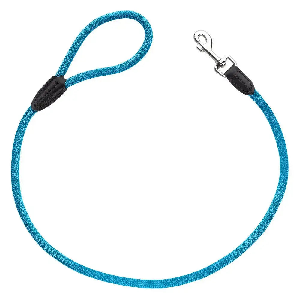 Durable blue dog leash with a comfortable grip and secure clip for safe walks.