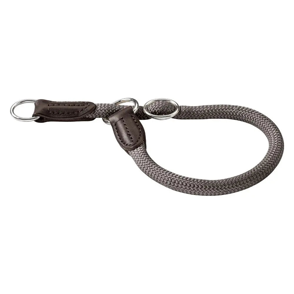 Durable dog leash with leather accents, perfect for training and daily walks.