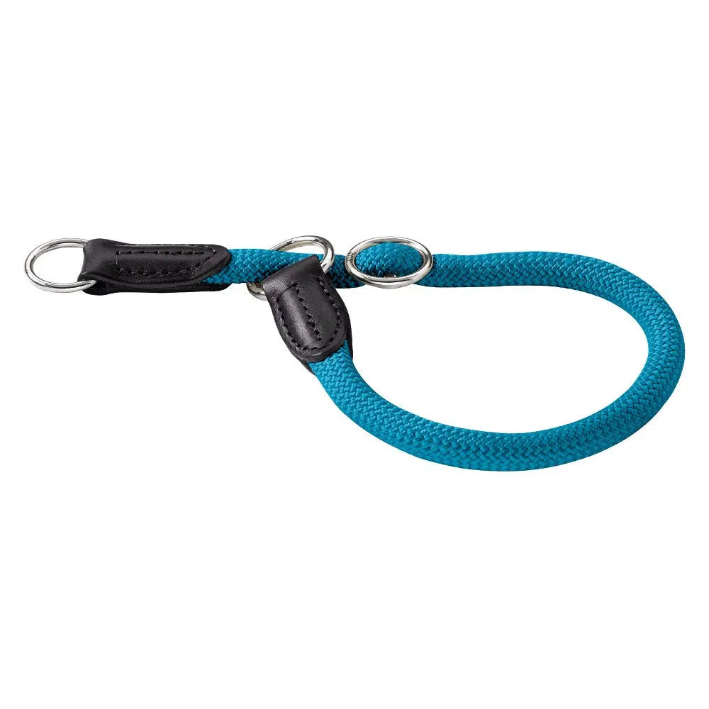 Durable teal dog leash with leather accents for comfortable walks and secure handling.