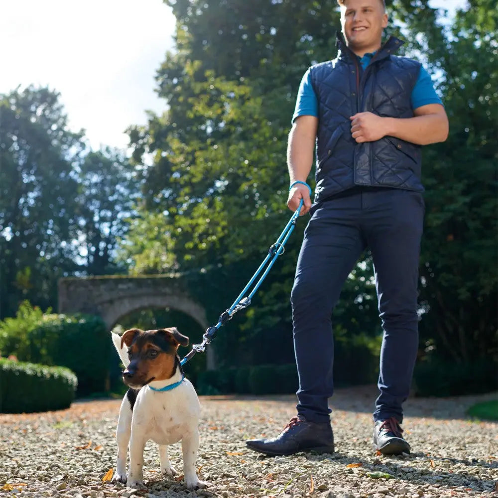 Man walking a small dog on a leash in a sunny park setting.