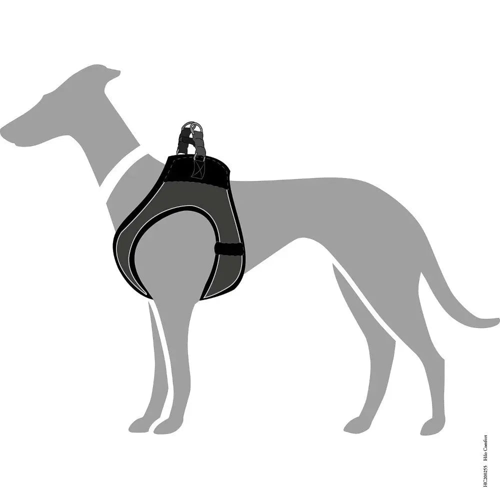 Dog harness design illustration, showcasing comfort and support for walking and training.