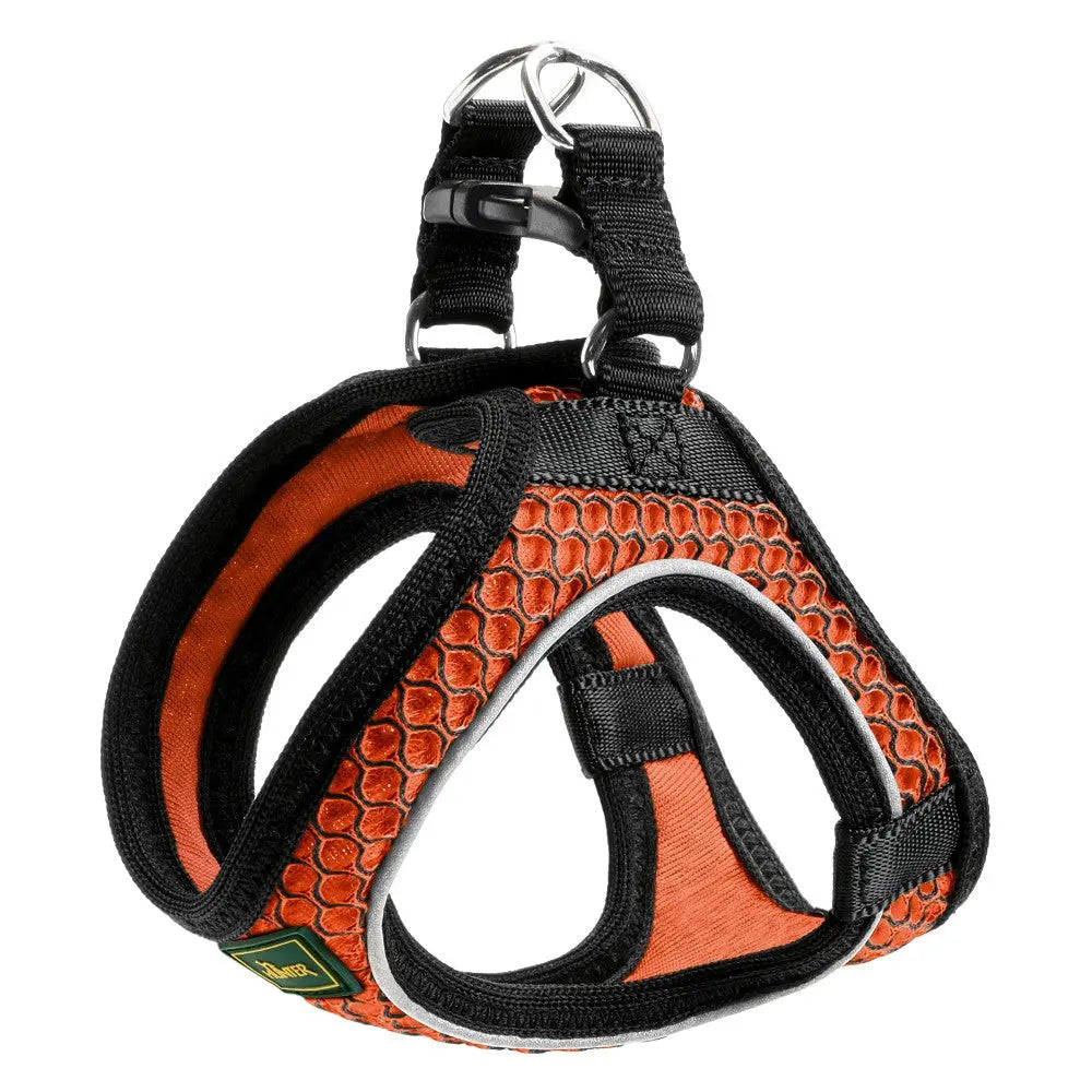 Orange dog harness with breathable mesh and adjustable straps for comfort and safety.