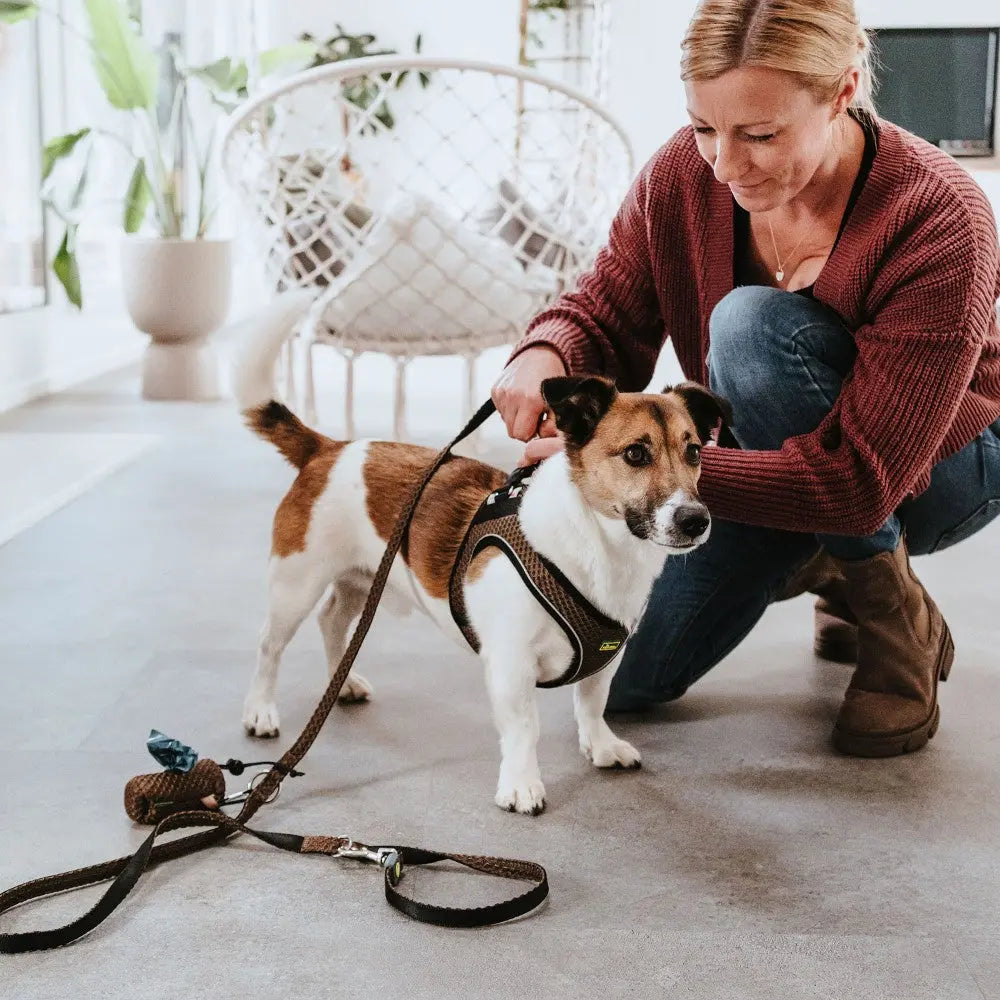 Woman putting a harness on a small dog in a cozy indoor setting.