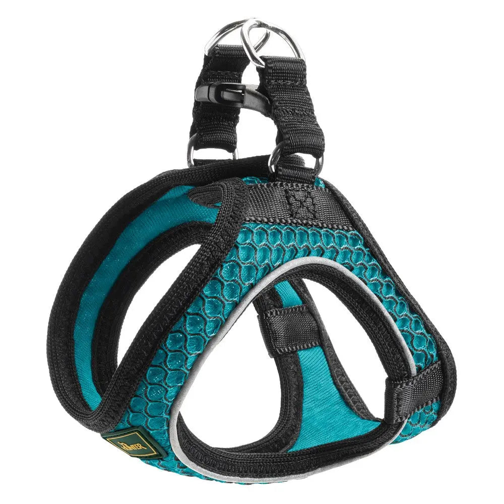 Dog harness in teal with breathable mesh and adjustable straps for comfort and safety.