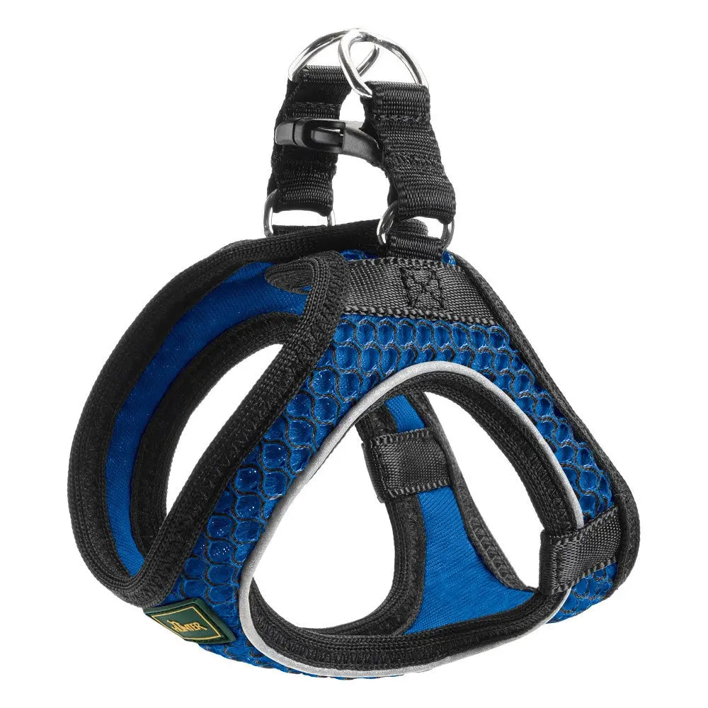 Blue dog harness with breathable mesh and adjustable straps for comfort and safety.