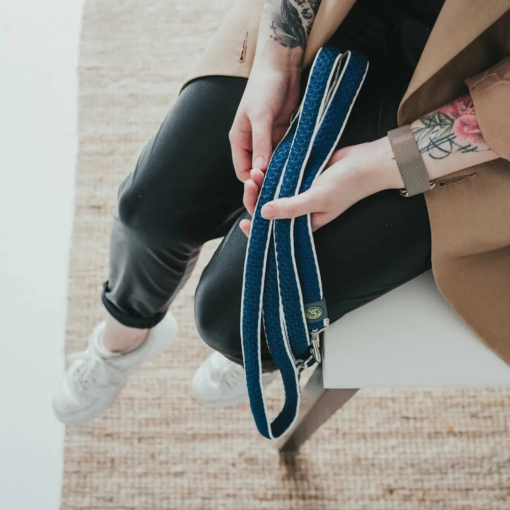 Stylish blue dog leash held by a person in casual attire, showcasing modern pet accessories.