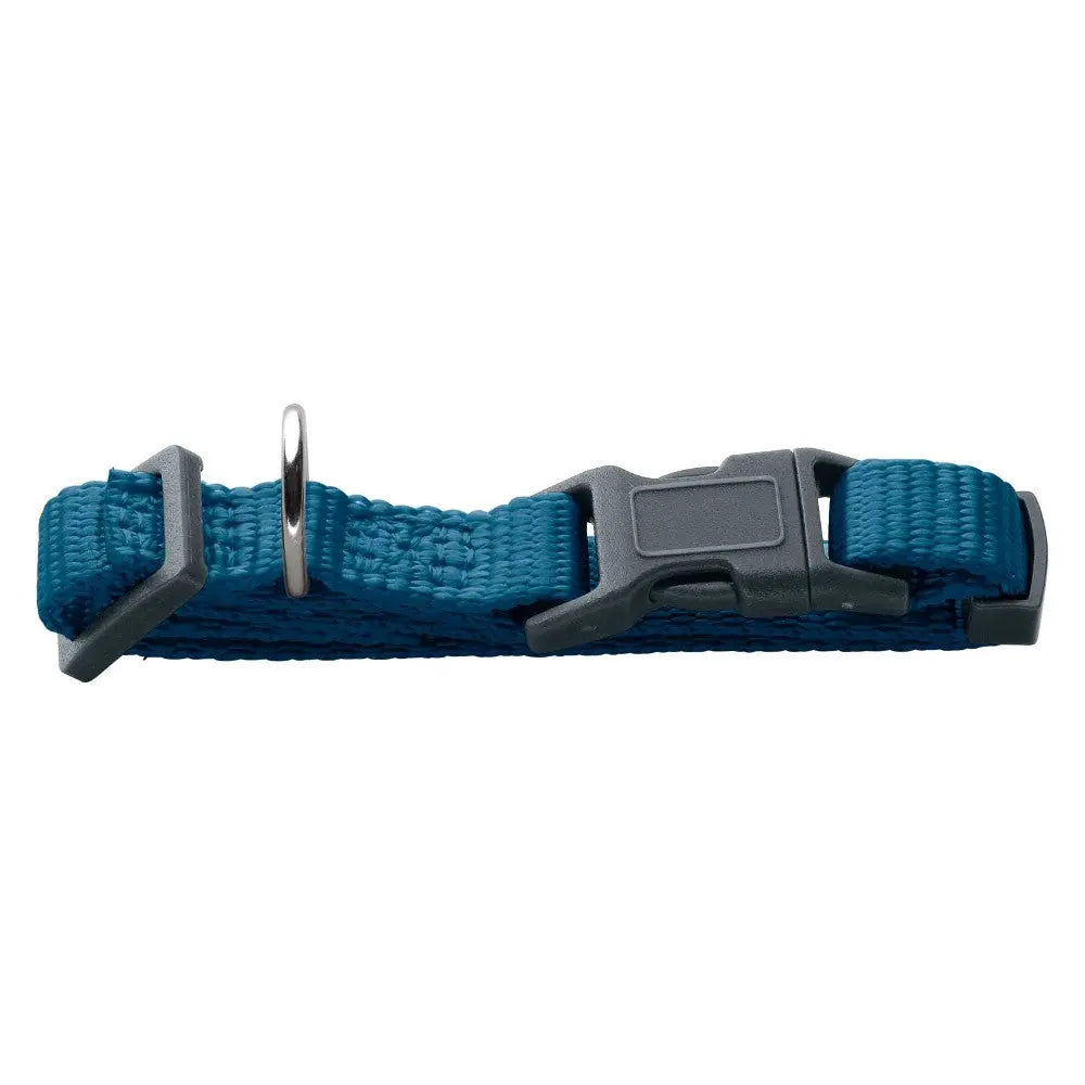Durable teal pet collar with adjustable buckle and metal D-ring for leash attachment.