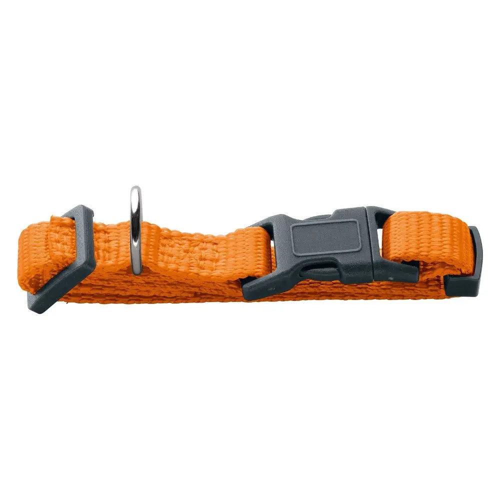 Durable orange pet collar with adjustable buckle and metal D-ring for leash attachment.