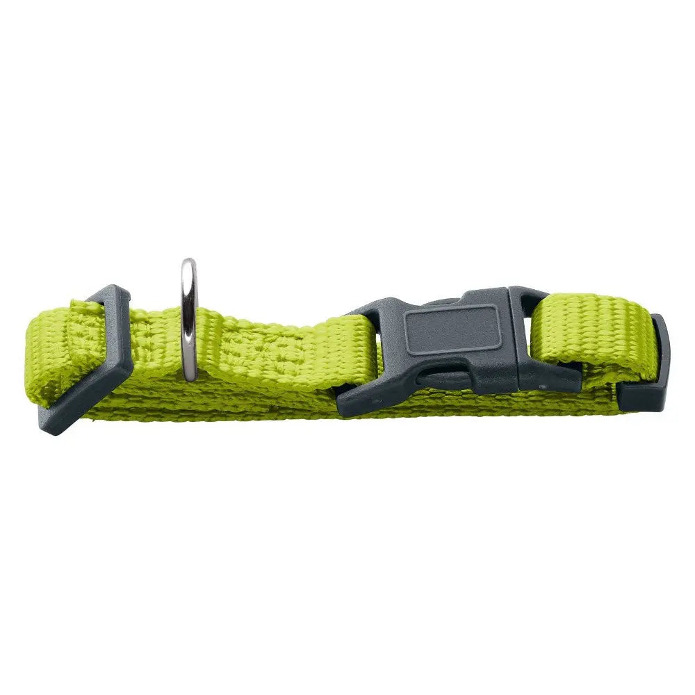Adjustable green pet collar with durable buckle and metal D-ring for leash attachment.
