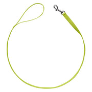 Bright green dog leash with a sturdy clip for secure pet walking and training.