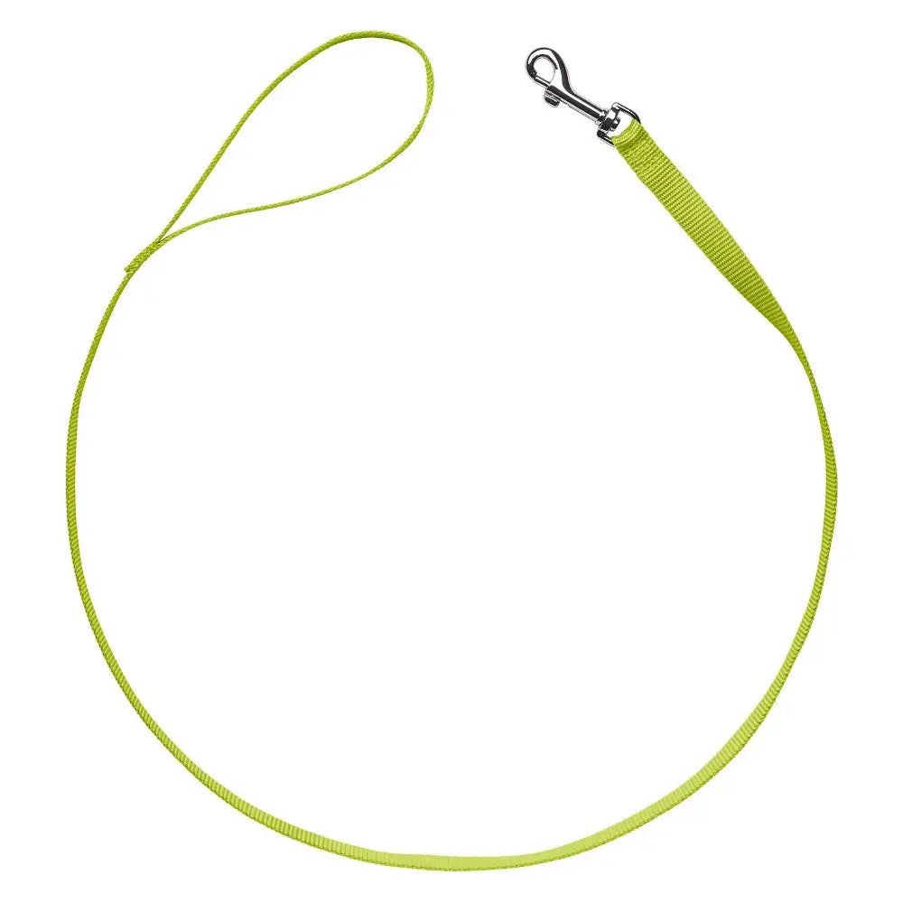 Bright green dog leash with a sturdy clip for secure pet walking and training.