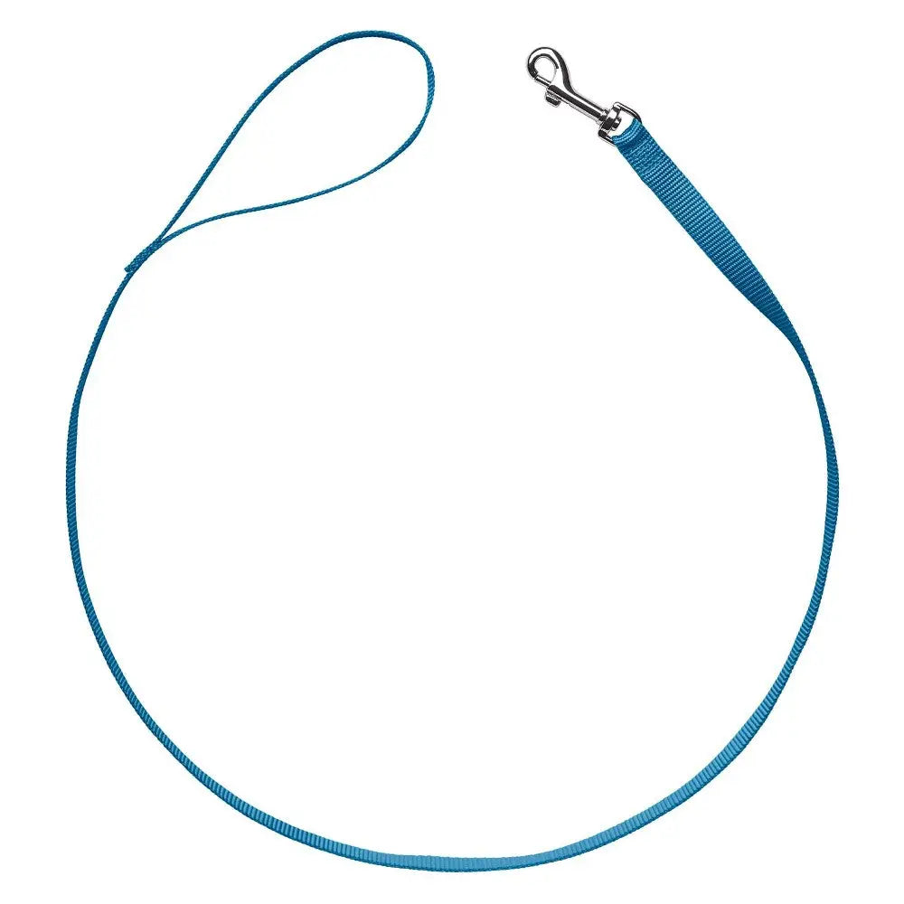 Blue dog leash with a sturdy clip for secure walks and outdoor adventures.