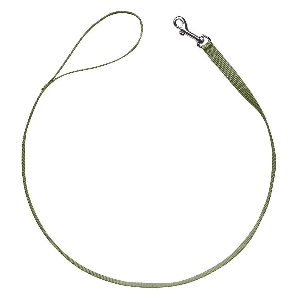 Durable green dog leash with a sturdy clip for secure walks and outdoor adventures.