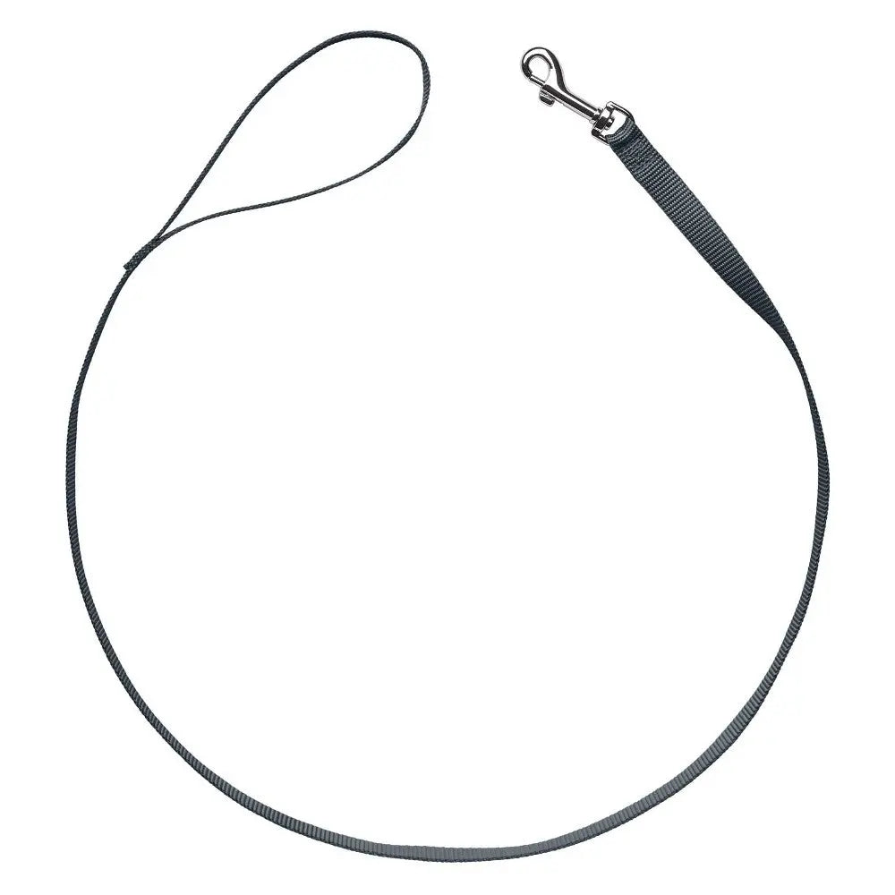 Durable dog leash with a sturdy clip for secure walks and outdoor adventures.