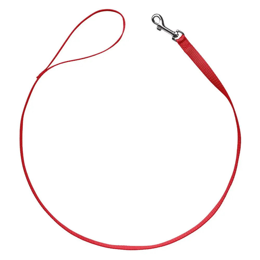 Red dog leash with a sturdy clip for secure pet walking and training.