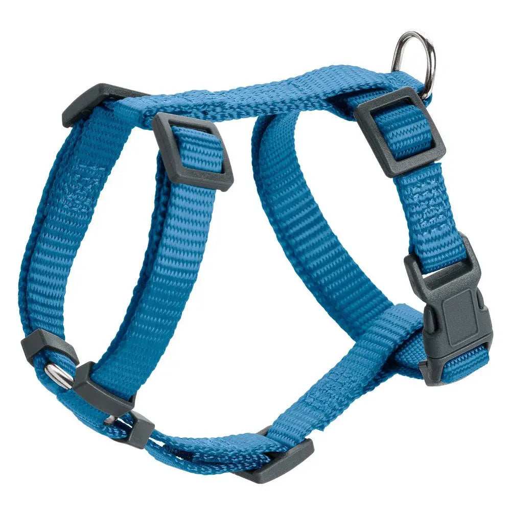 Blue dog harness with adjustable straps and metal D-ring for leash attachment.
