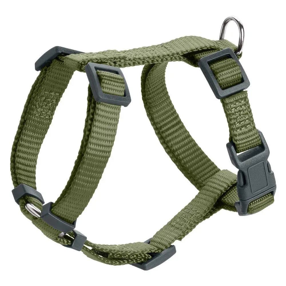 Adjustable green dog harness with sturdy clips and D-ring for leash attachment.