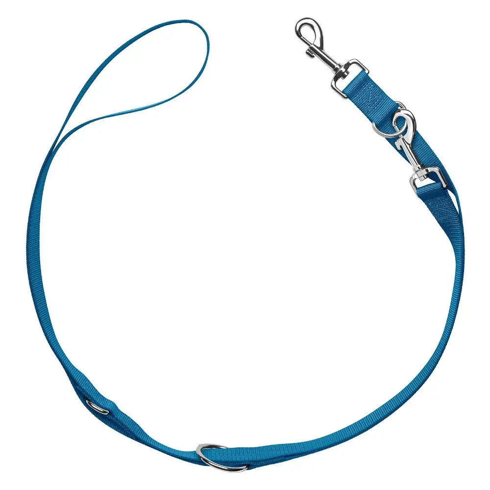 Blue adjustable dog leash with metal clip and sturdy design for secure walks.