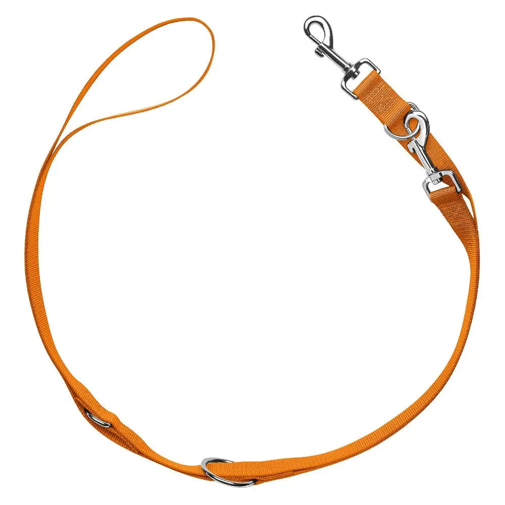 Durable orange dog leash with adjustable length and sturdy metal clips for secure walks.