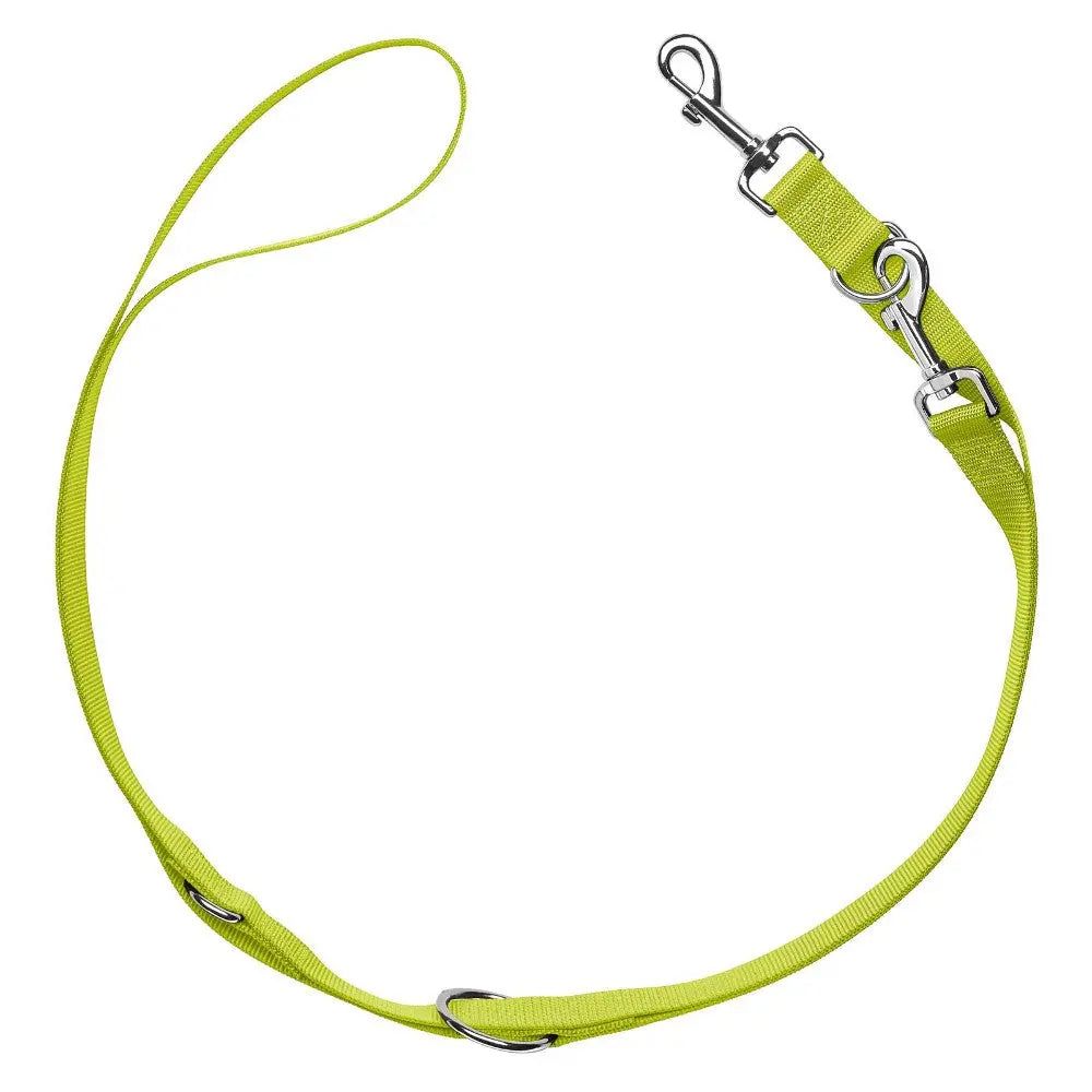 Bright green dog leash with durable clips for secure pet walking and training.
