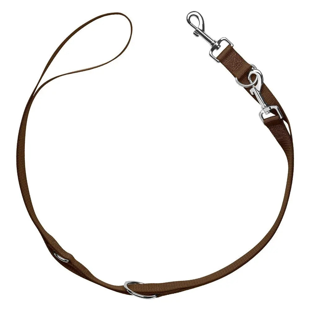 Brown dog leash with metal clips for secure pet walking and training.
