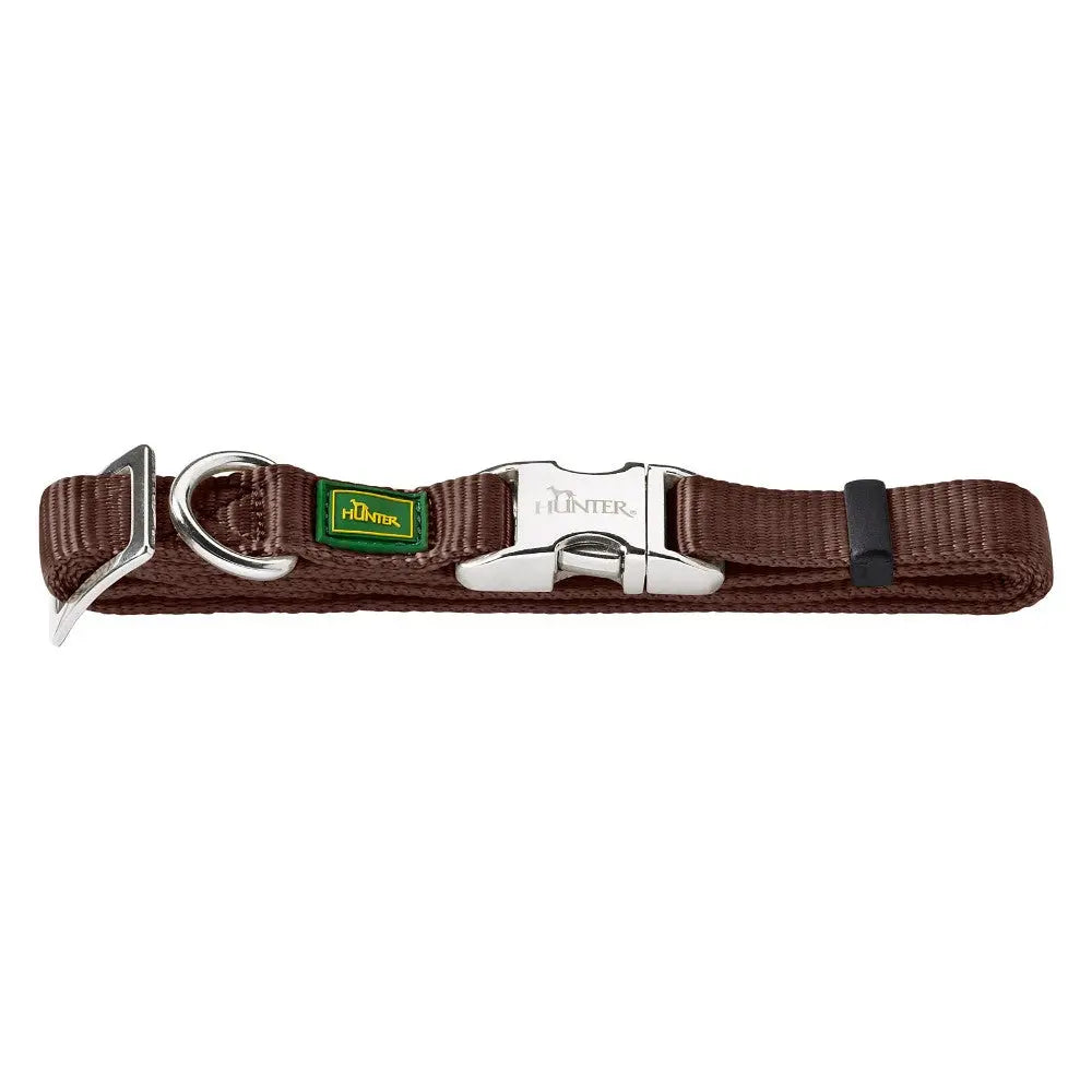 Brown dog collar with metal buckle and D-ring for leash attachment, perfect for pet safety and style.