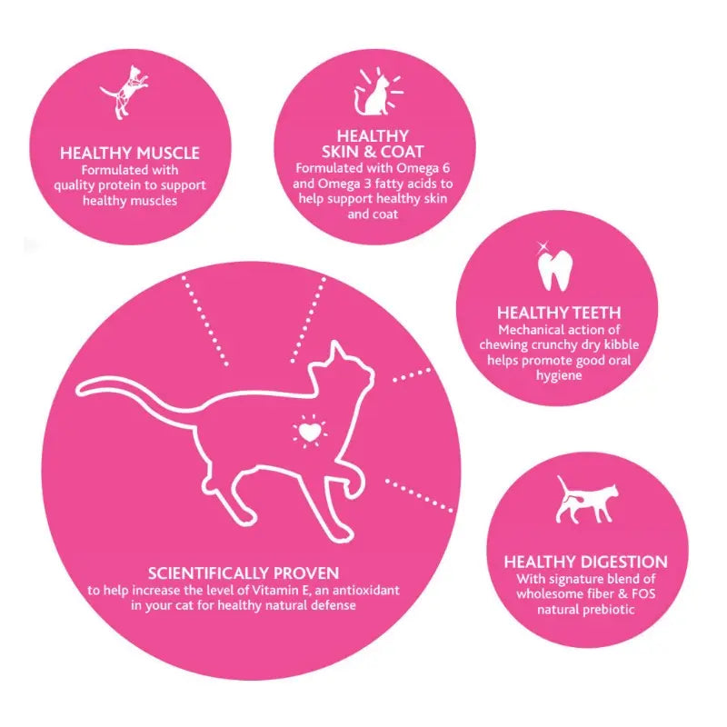 Infographic highlighting benefits of cat food for muscle, skin, teeth, digestion, and vitamin E.