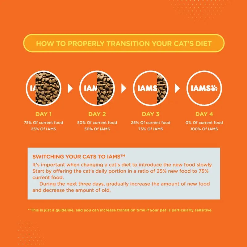 Infographic on transitioning a cat's diet to IAMS, detailing daily food ratios and guidelines.