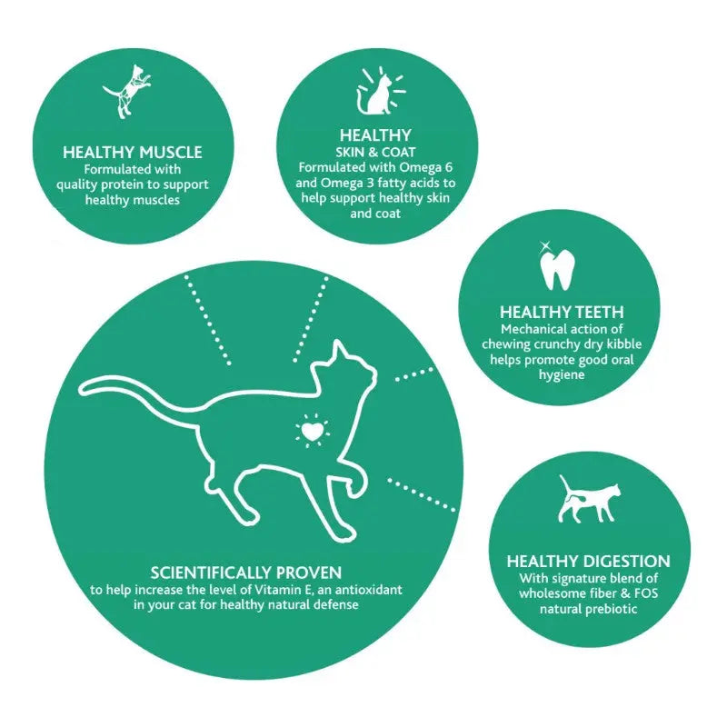 Infographic highlighting benefits of cat food for muscle, skin, teeth, digestion, and overall health.