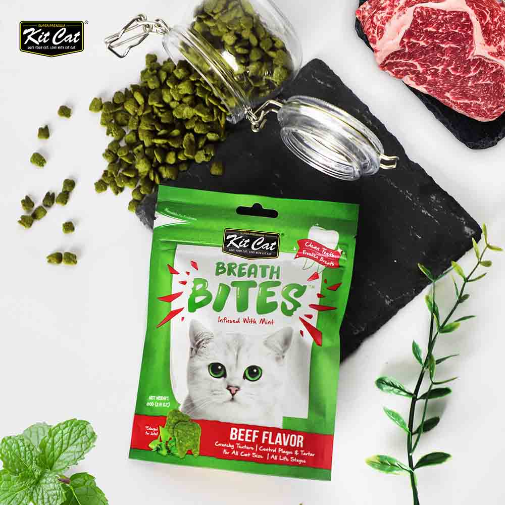 Beef-flavored cat treats in a vibrant package with fresh ingredients and a playful cat graphic.
