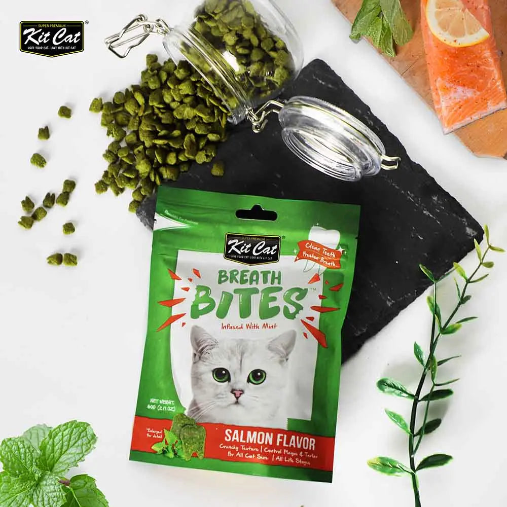 Salmon-flavored cat treats in eco-friendly packaging with fresh herbs and a glass jar.