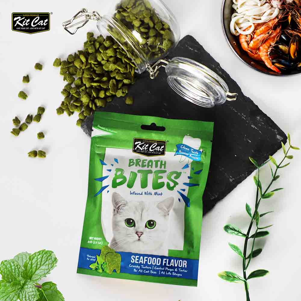 Kit Cat Breath Bites seafood flavor cat treats with mint, displayed with fresh herbs and a glass jar.