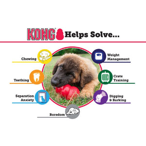 Kong Extreme Rubber Dog Chew Toy-Information Sheet