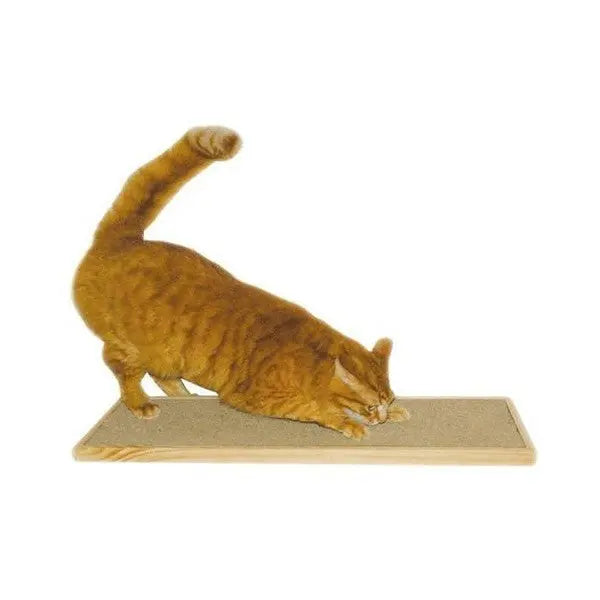Orange cat scratching on a wooden cat scratcher for healthy claws and playtime.