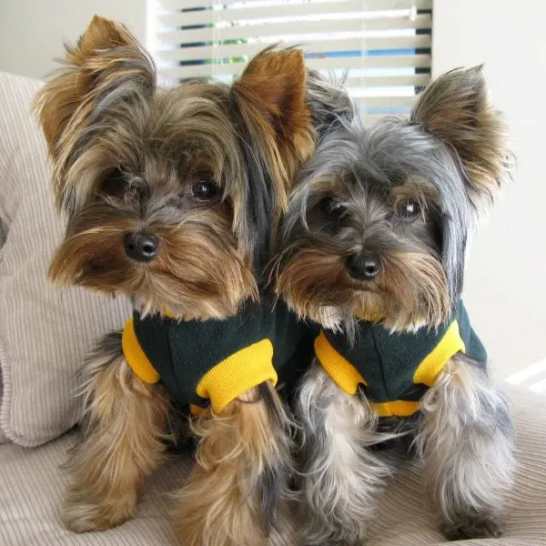 Kunduchi Sporty Jersey Springbok Dog Rugby Outfit Kunduchi