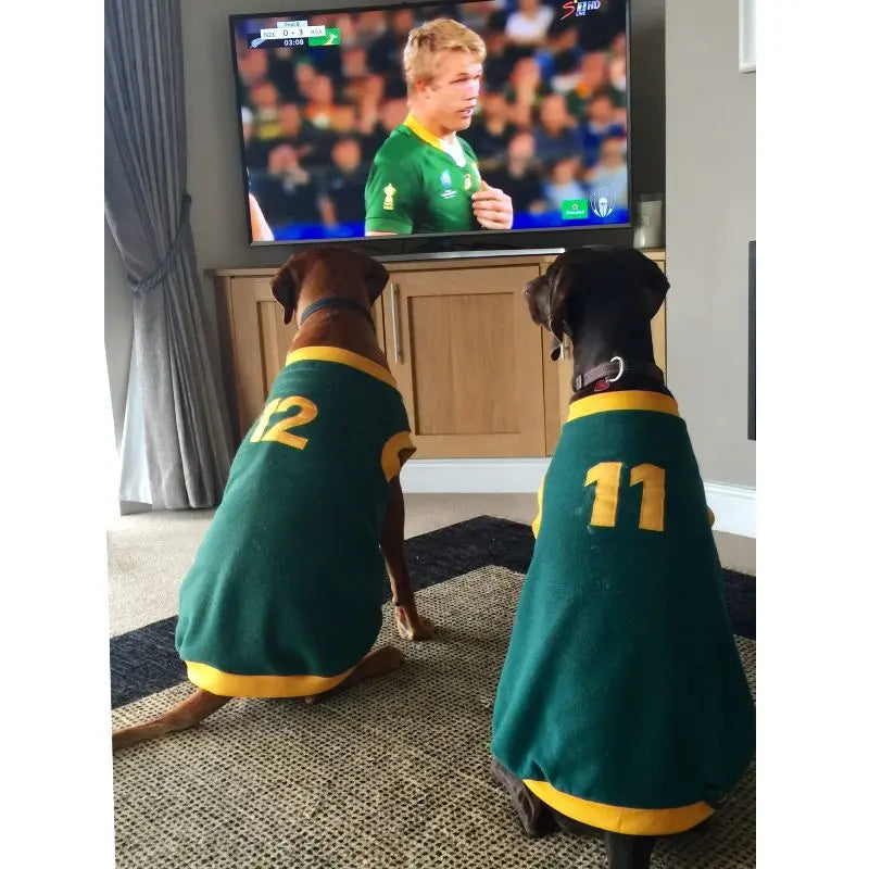 Kunduchi Sporty Jersey Springbok Dog Rugby Outfit Kunduchi