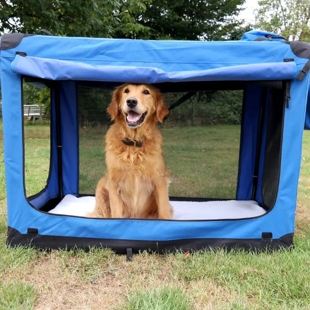 Golden retriever sitting happily in a blue outdoor dog crate on grass.