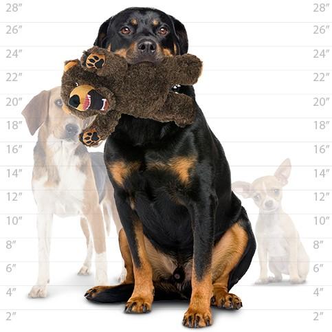 Mighty Angry Animals - Bear Dog Toys - product detail image South Africa shopping